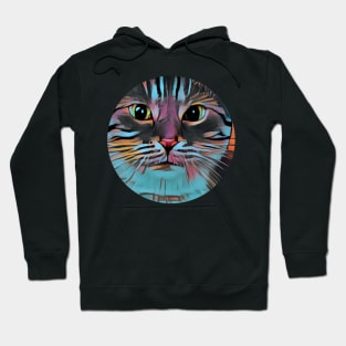 Fun mycat, revolution for cats Hoodie